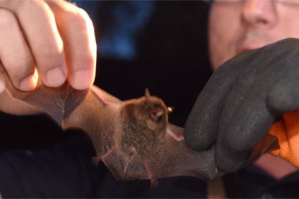 Rozpravkovu jaskynu ukazali v nasom vysielani