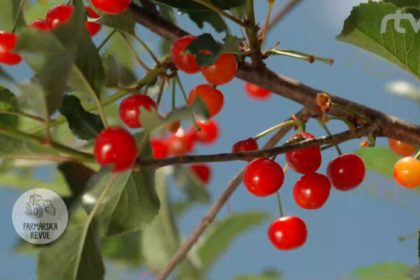 Sklenky Sobota s Janom Skornom U nas doma Radio Regina Stred
