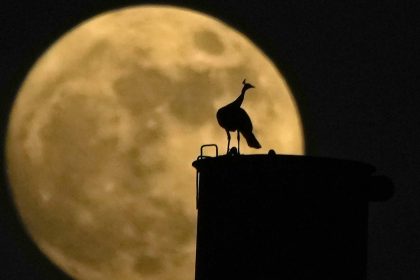 Co vsetko sposobuje obeh Zeme Sila Mesiaca prekvapuje odbornikov