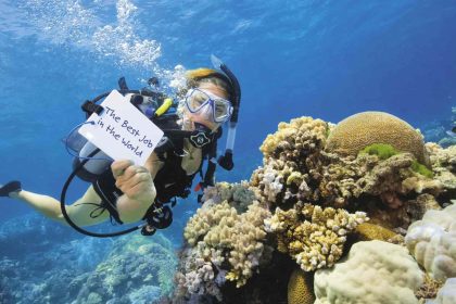 Spioni v oceane odhaluju nezname svety