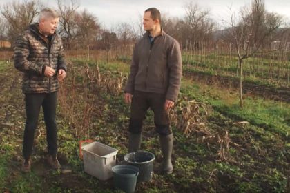 Ako rychlo vypestovat stromy odolne voci klimatickym zmenam