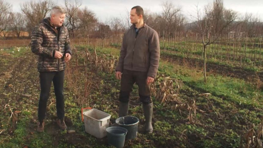 Ako rychlo vypestovat stromy odolne voci klimatickym zmenam