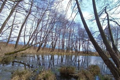 Naucny chodnik Mokrade Turca Radiovikend pozvanky a reportaze Radio Slovensko