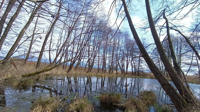 Naucny chodnik Mokrade Turca Radiovikend pozvanky a reportaze Radio Slovensko