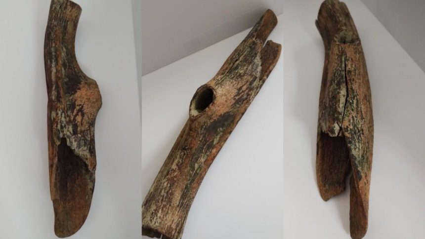 nizka hladina rieky visla vo varsave odhalila archeologicke poklady