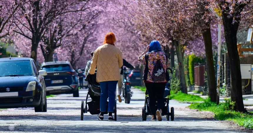 Materská bude vyššia, rozhodne dátum nástupu na materskú