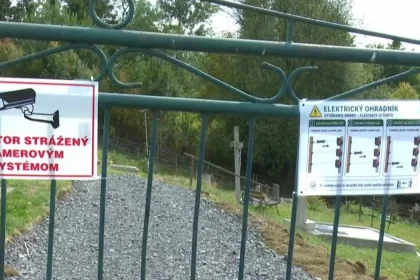 Na Liptove je najviac medveďov na Slovensku. Jedna z obcí už konala