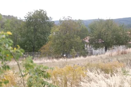 Na východe Slovenska spozorovali ďalšieho medveďa