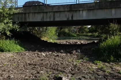 Niektoré úseky Žitavy vyschli. Následky pre život v rieke môžu byť dlhodobé