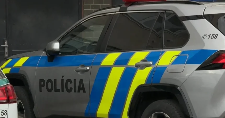 Policajti dostanú väčšie právomoci. Zákon prinesie lepšiu ochranu pred domácim násilím