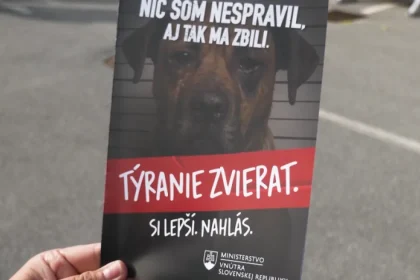 Preventívna akcia učila deti v Lomničke rozoznať starostlivosť od týrania